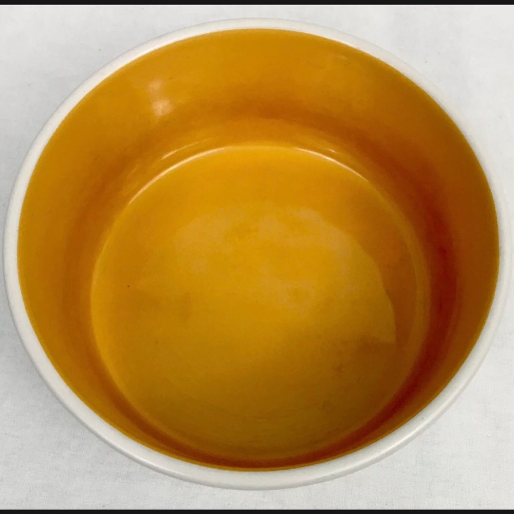 Rae Dunn Large Dog Dish Chow Down Pet Bowl Orange Interior 6” New RARE COLOR - Picture 8 of 14